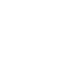 Rapid Micro Biosystems, Inc. Class A Share Price